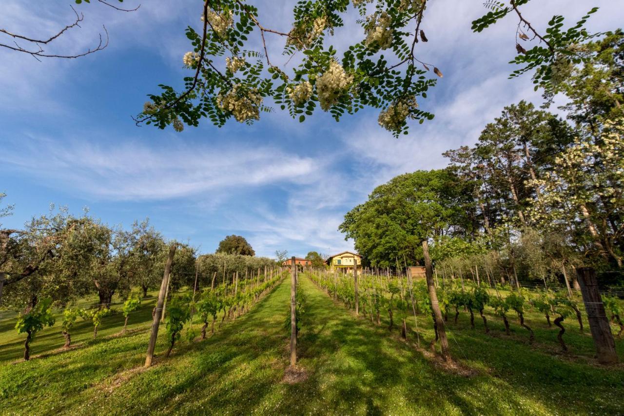 Podere Sant'Antonio Fauglia Екстер'єр фото