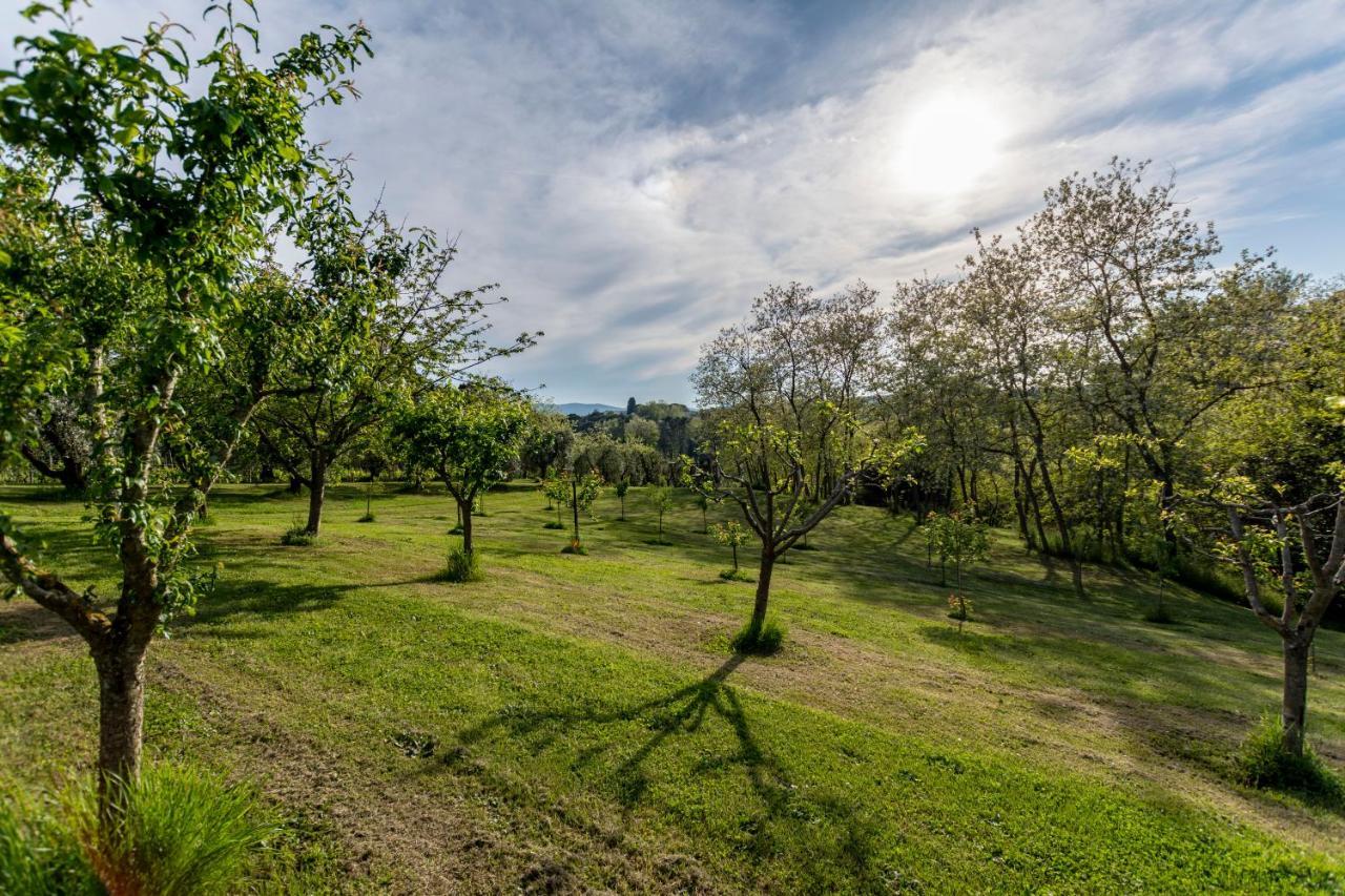 Podere Sant'Antonio Fauglia Екстер'єр фото