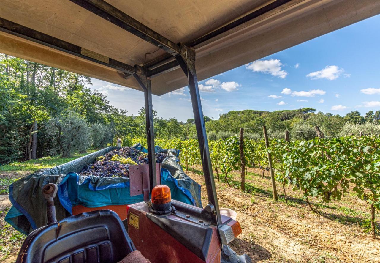 Podere Sant'Antonio Fauglia Екстер'єр фото