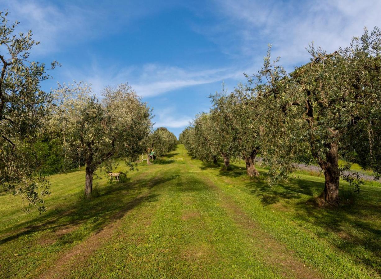 Podere Sant'Antonio Fauglia Екстер'єр фото