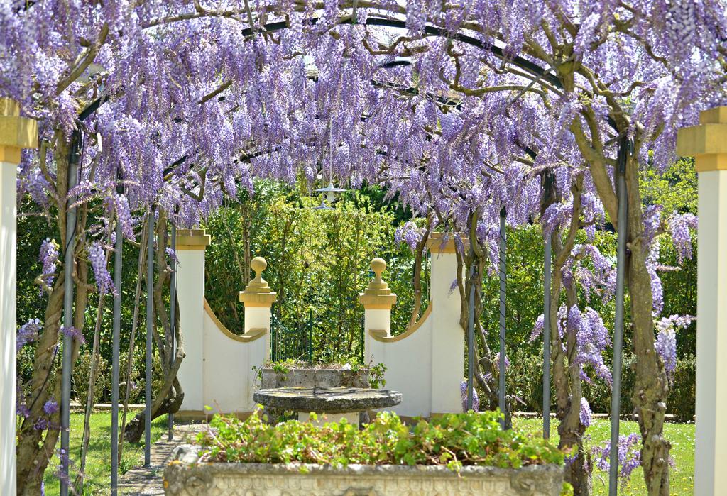 Podere Sant'Antonio Fauglia Екстер'єр фото