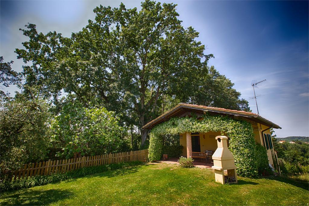 Podere Sant'Antonio Fauglia Екстер'єр фото