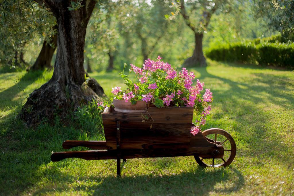 Podere Sant'Antonio Fauglia Екстер'єр фото