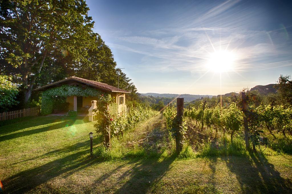 Podere Sant'Antonio Fauglia Екстер'єр фото