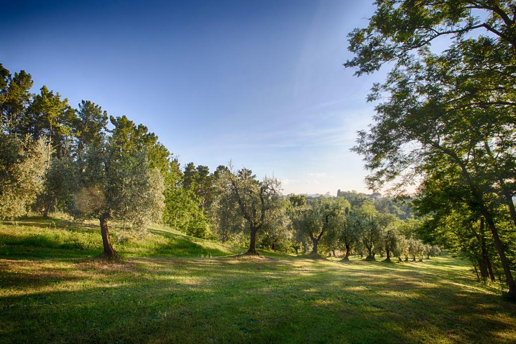 Podere Sant'Antonio Fauglia Екстер'єр фото