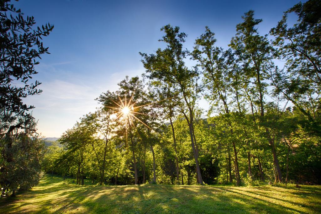 Podere Sant'Antonio Fauglia Екстер'єр фото